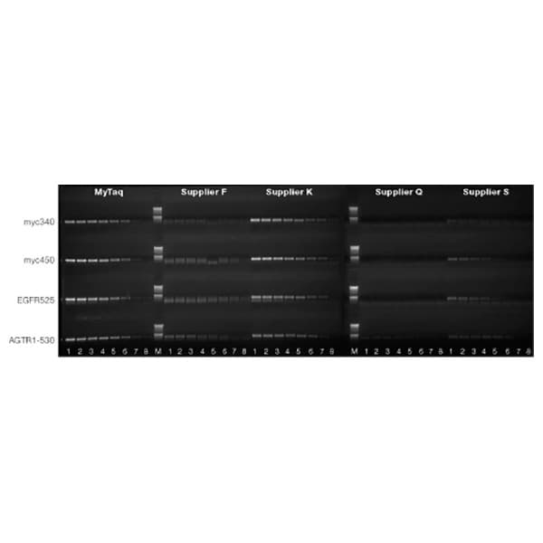 MyTaq HS RED DNA Polymerase, 1000 units