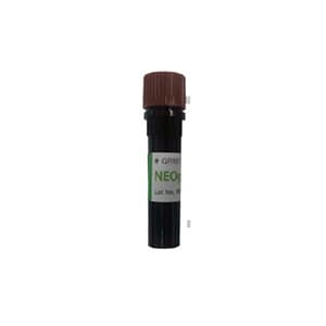 NEOgreen, DNA Staining Reagent 1 ml