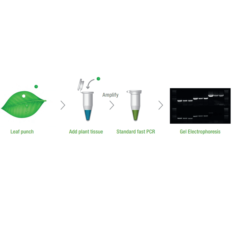 MyTaq™ Plant-PCR Kit, 250RXN
