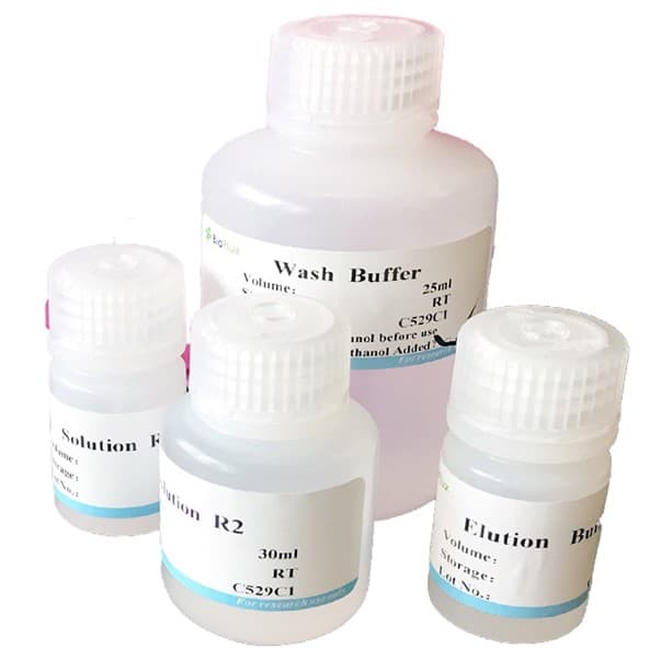 BioDirect Animal Tissue Direct PCR Kit