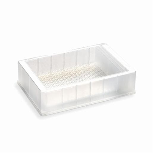 Porvair Sciences 155 ml Reservoir plate: 4 controls, 384 V bottom 390109