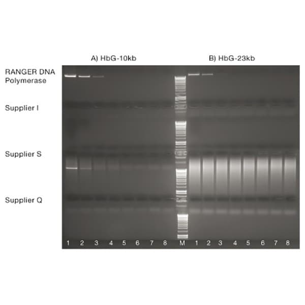 Ranger DNA Polymerase, 250 units