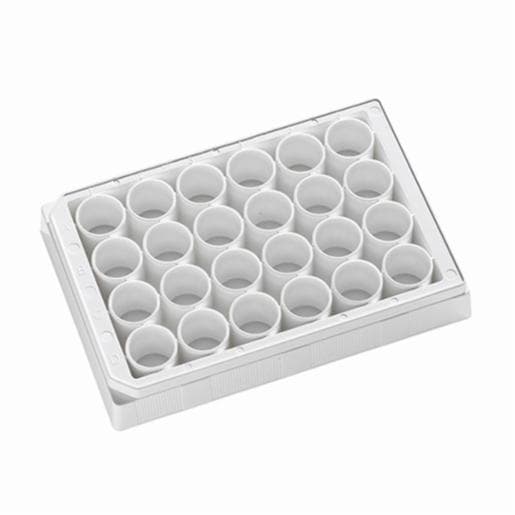 Porvair Sciences 24 Well clear bottom PS microplate White F bottom assay plate 303002