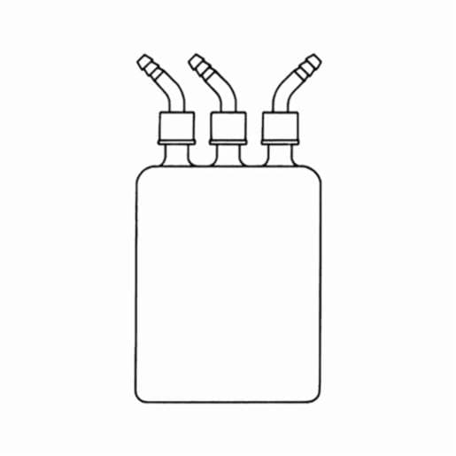 Buchi Woulff bottle P+G ,025519