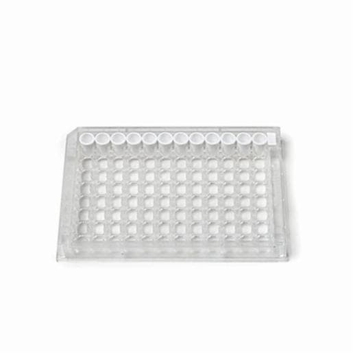 Neogen 3009 MLS MICROWELL STRIP HOLDE 78007003177