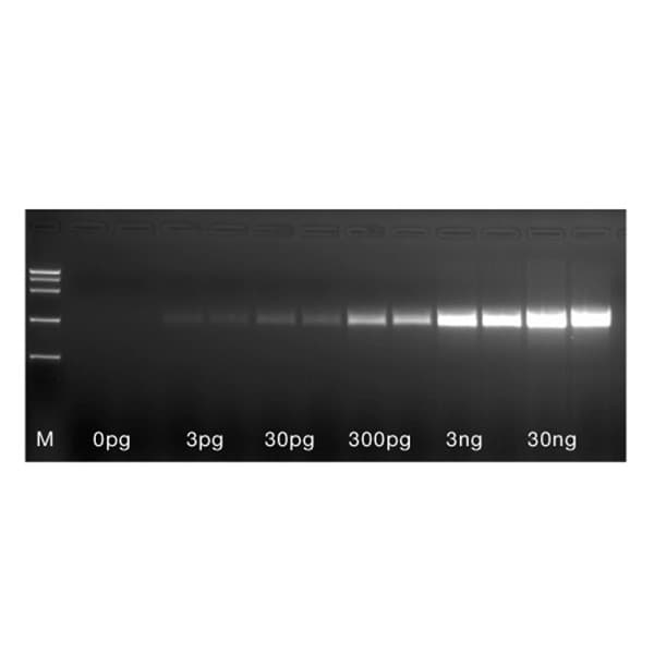 MyTaq ONE-STEP RT-PCR Kit, 100RXN