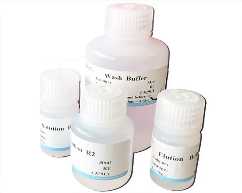 BioReady LA Taq 500U. (KIT)