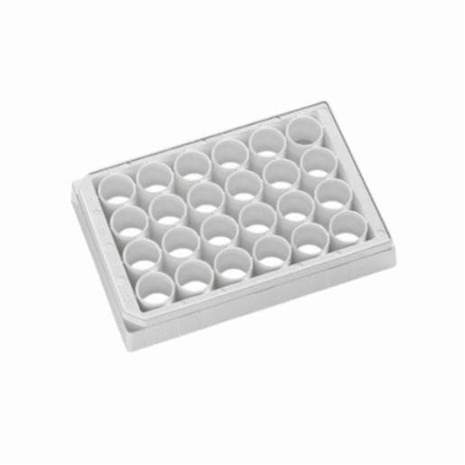 Porvair Sciences 24 Well clear bottom PS microplate White F bottom assay plate, TC Treated With Lid 303006